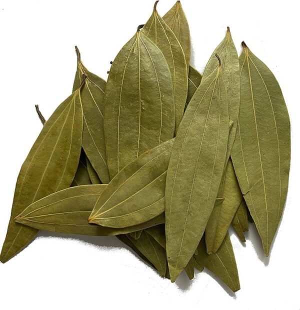 Tej Patta, Tamalpatra, Indian Bay Leaf Plant Size 1-2 Feet Healthy Spice Plant - Image 3