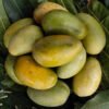 Amrapali Mango Ritu Raj Aam Grafted Live Fruit Plant(height 1.5-3Feet) - Image 3
